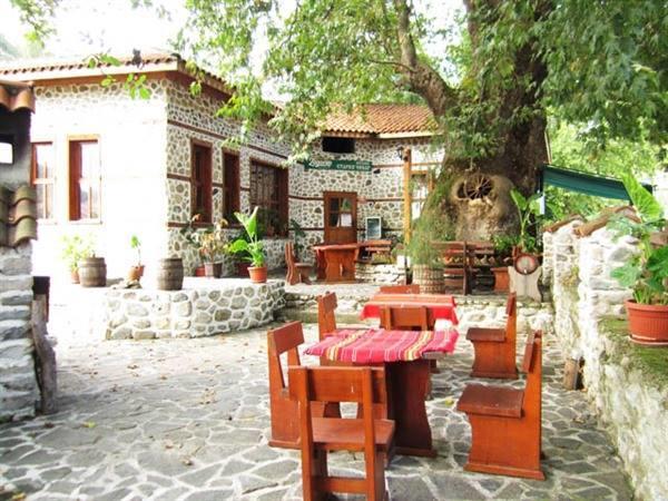 Комплекс Стария Чинар Melnik (Blagoevgrad) Eksteriør bilde