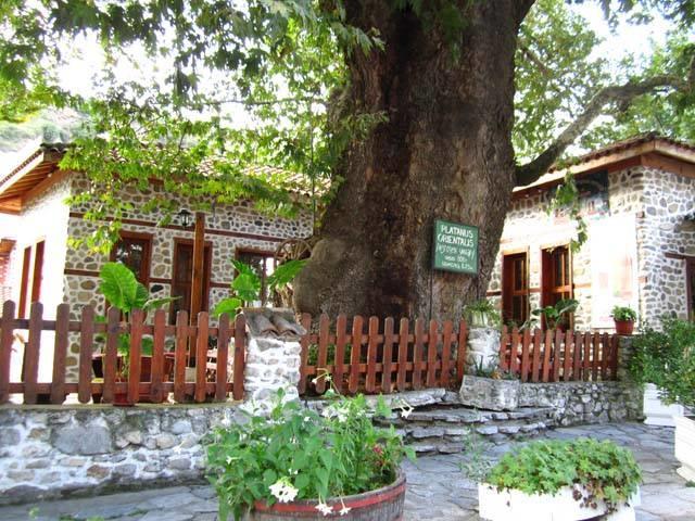 Комплекс Стария Чинар Melnik (Blagoevgrad) Eksteriør bilde