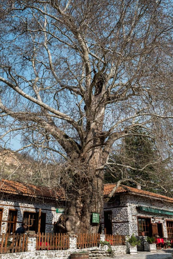 Комплекс Стария Чинар Melnik (Blagoevgrad) Eksteriør bilde