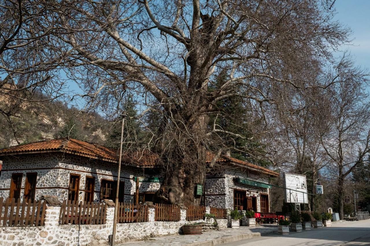 Комплекс Стария Чинар Melnik (Blagoevgrad) Eksteriør bilde
